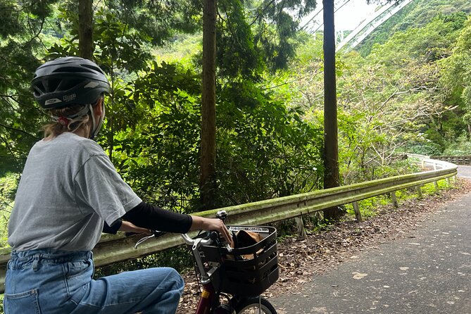 E-Bike Mystery Tour