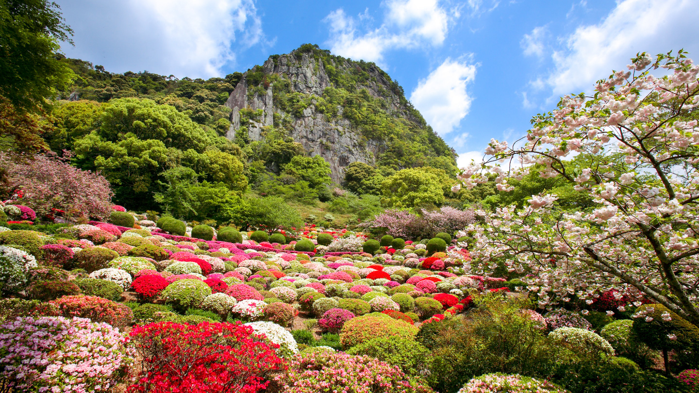 Thinking About Peace in Japan