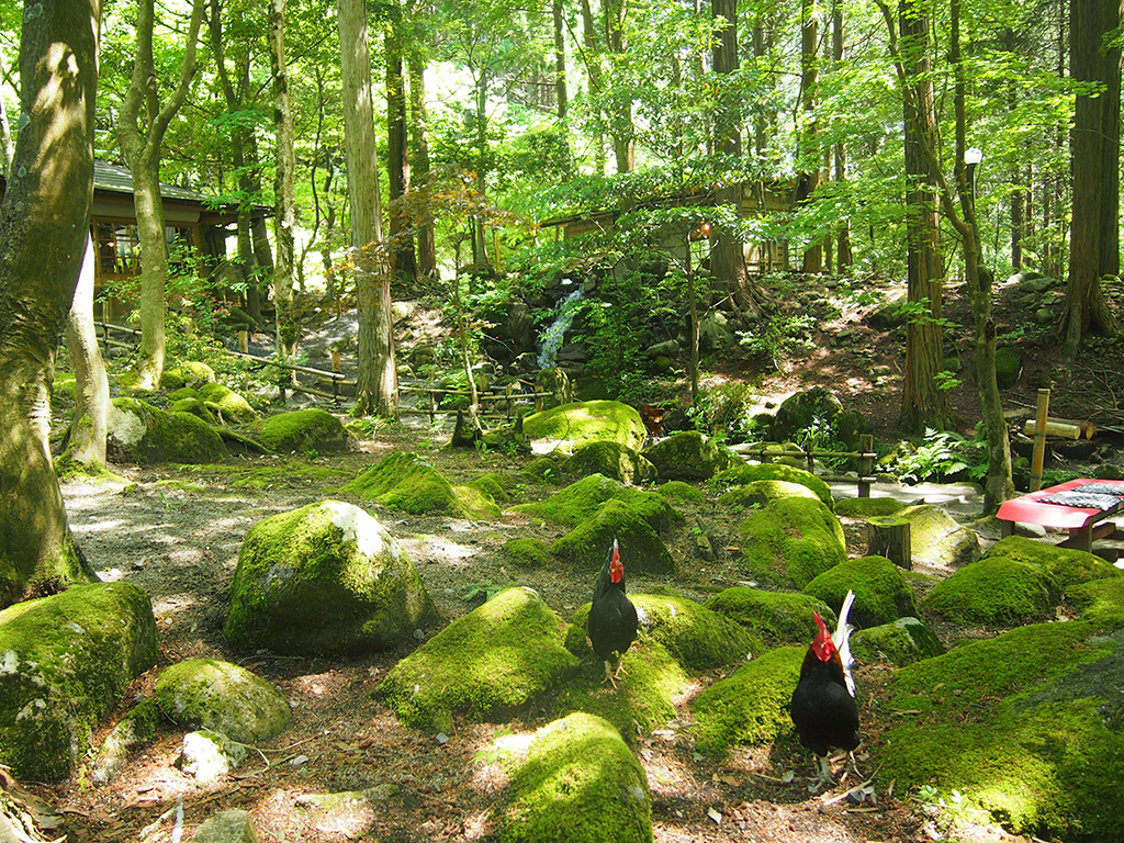 Mitaki-en’s picturesque grounds