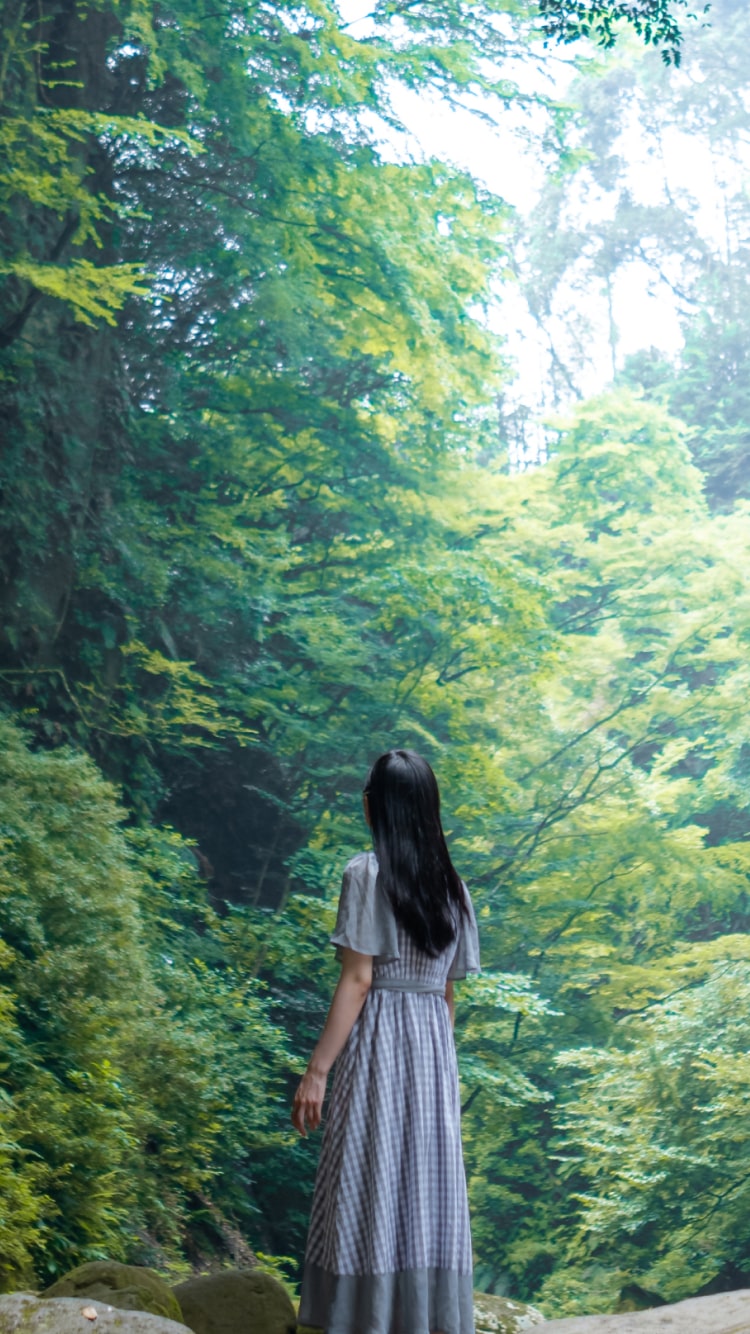 ゴールデンルート Adidas Originals ZX 750 Low Cut Sneakers RFx746 Red White