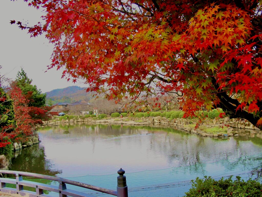 Savor the Autumn Hue at Togyoan in Shimonoseki