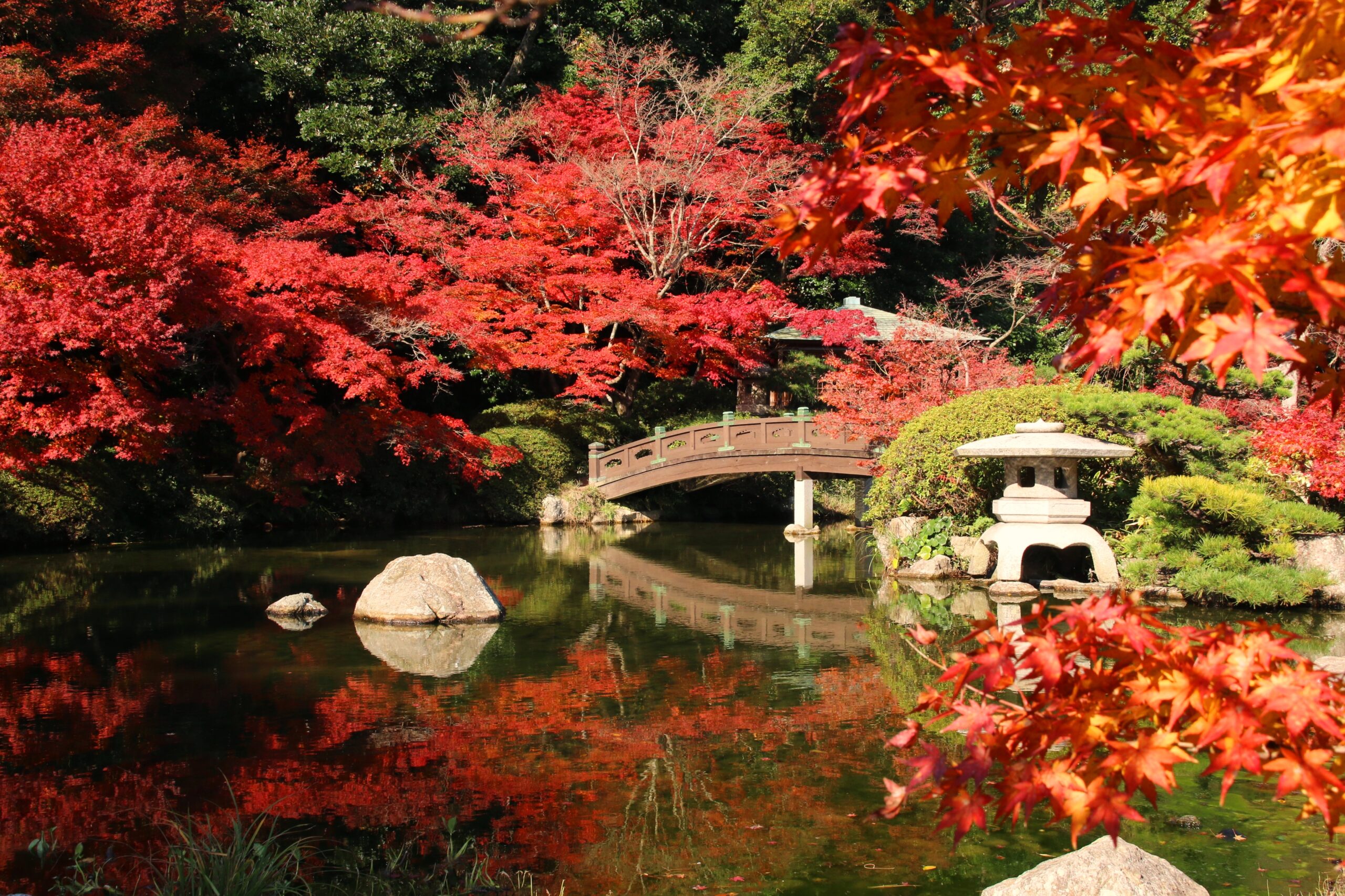 Discover the Marvels of Autumn in Shimonoseki’s Castle Town, Chofu