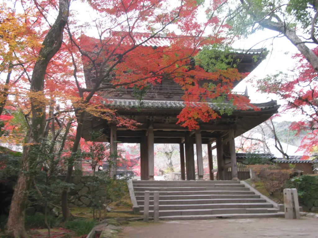 Discover the Marvels of Autumn in Shimonoseki's Castle Town, Chofu