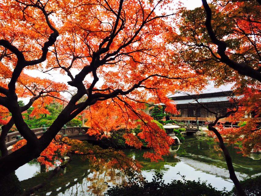 “Chofu Garden（長府庭園）”