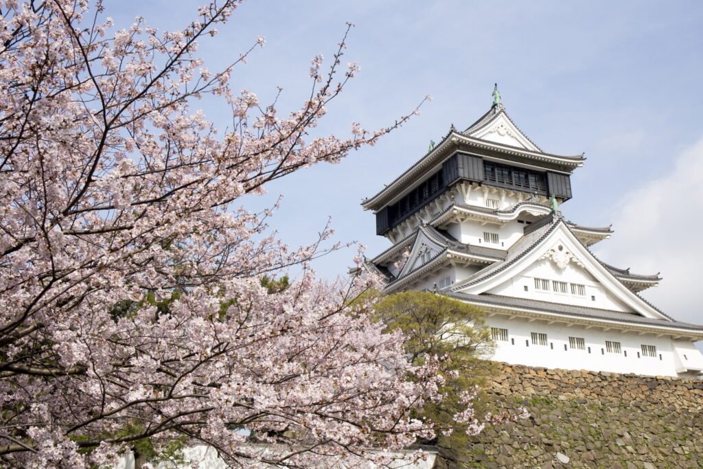 Spring Flowers in Kitakyushu: When and Where to See Cherry Blossoms and Wisteria
