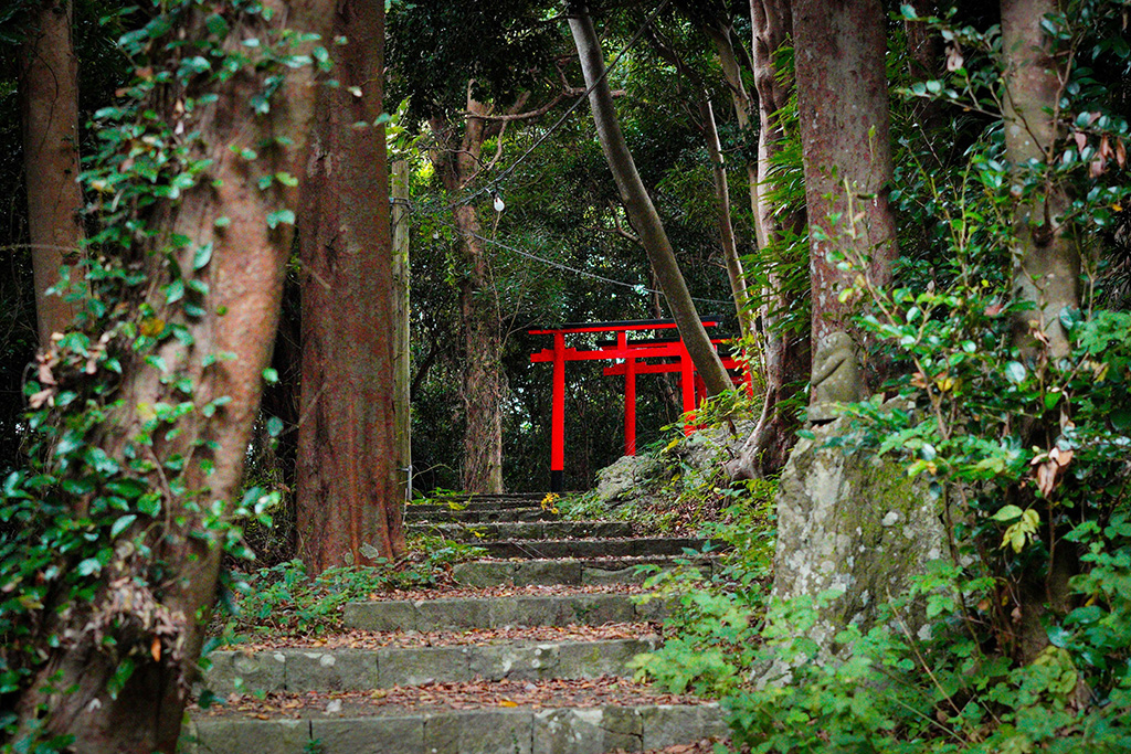 The Spirit of Japanese Culture, and a Gateway to Its OriginsEmbark