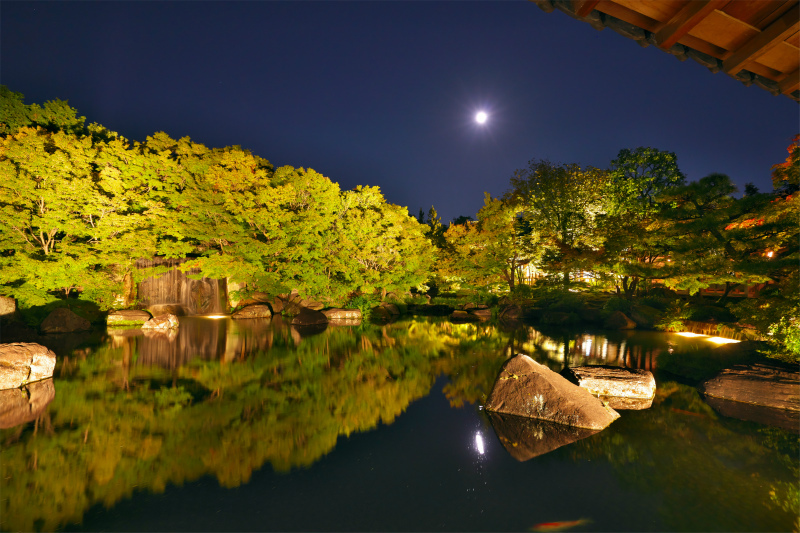 Harvest Moon at Himeji Castle: Two Ways to Spend the Same Night