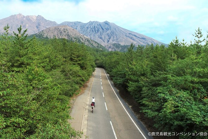 Historical Hill Climb E-bike Tour to Sakurajima’s Peak