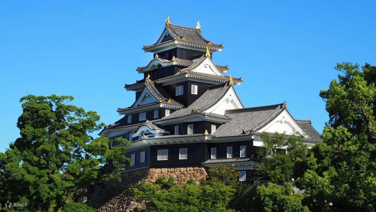 Okayama Castle Ticket