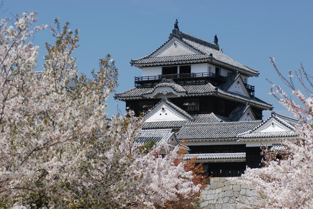 Matsuyama Castle