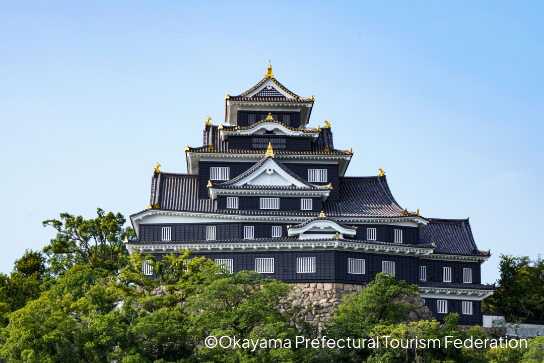 Okayama Castle