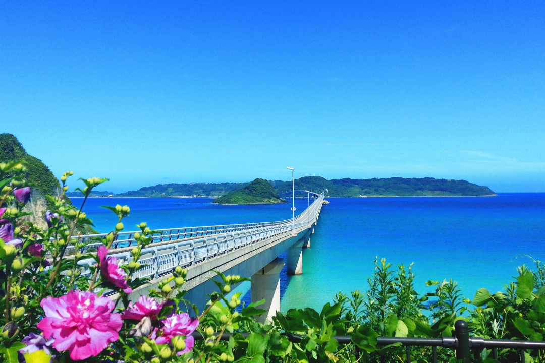 Tsunoshima Ohashi Bridge