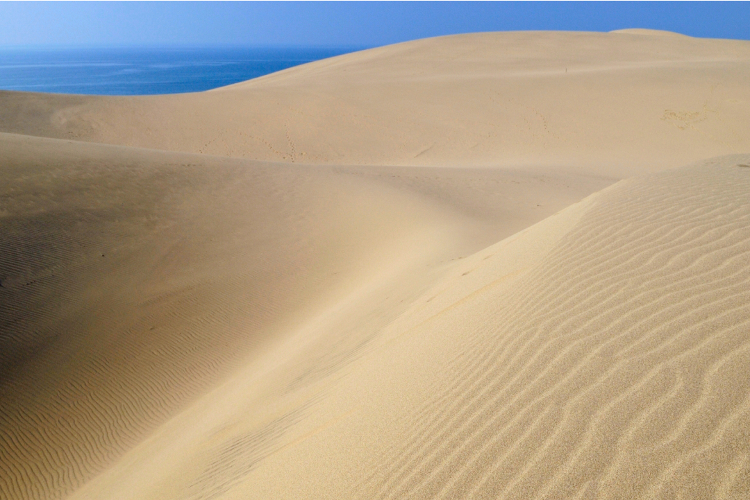 Tottori Sand Dunes